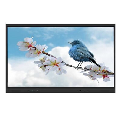 65 75 86 98 Inch Interactive Flat Panel Interactive Whiteboard Support Hệ thống hỗ trợ kép