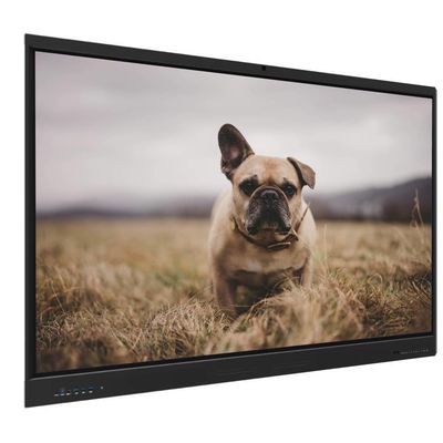 Bảng trắng tương tác iBoard 98 inch Android Windows Máy tính Bảng cảm ứng Thông minh Với Loa Cảm biến ánh sáng Phần mềm cho Giáo dục Văn phòng Họp Kinh doanh