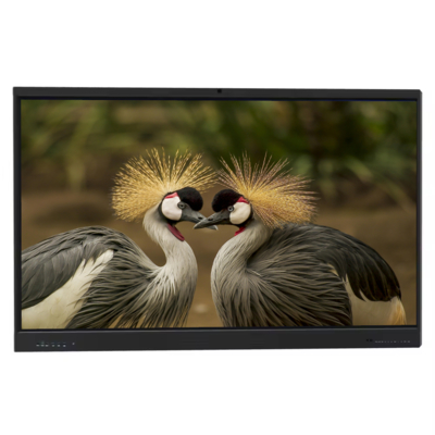 Nhà sản xuất IBoard 65 Inch Interactive Whiteboard Smart Board Interactive Flat Panel Smart Digital Touch Screen Hệ thống kép cho văn phòng giáo dục trường học
