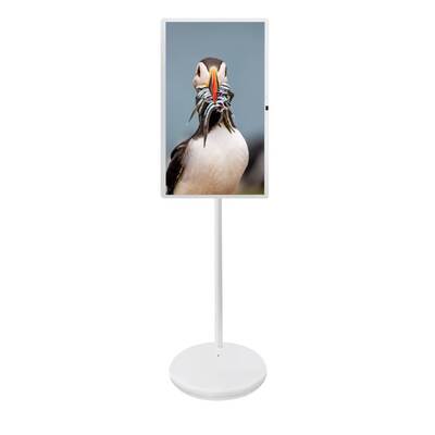 27 32 Inch Android 15 Với Máy ảnh Mic Điện thoại Đứng Cho Nhà TV Hội nghị Bảng Menu Monitor
