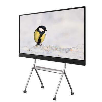 Màn hình màn hình cảm ứng tương tác 75 inch cho trường hội nghị