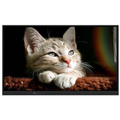 Bảng trắng tương tác 65 inch thông minh với Android/Windows/Linux/Mac/Chrome OS và Chiếu không dây