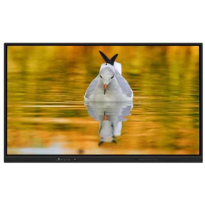 Bảng trắng tương tác LED với Android 14 Ultra Fine Infrared Touch và Mic Camera tùy chọn cho các trường học và cuộc họp