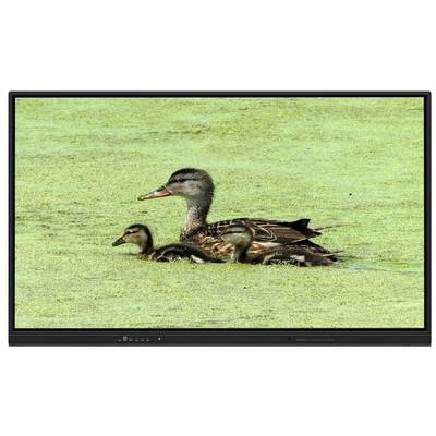 Bảng trắng tương tác tất cả trong một 65 inch với bộ nhớ 8+128G và cảm ứng hồng ngoại cho giảng dạy và hội họp