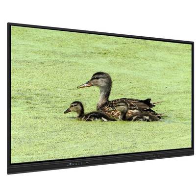 Bảng trắng tương tác tất cả trong một 65 inch với bộ nhớ 8+128G và cảm ứng hồng ngoại cho giảng dạy và hội họp