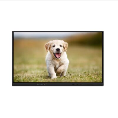 iBoard Bảng tương tác Android 16 Chứng nhận EDLA Màn hình phẳng tương tác