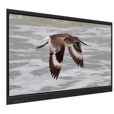 Bảng trắng tương tác Iboard Android 15 EDLA với Bảng 65 inch Dành cho Học trực tuyến