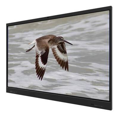 Bảng trắng tương tác Iboard Android 15 EDLA với Bảng 65 inch Dành cho Học trực tuyến