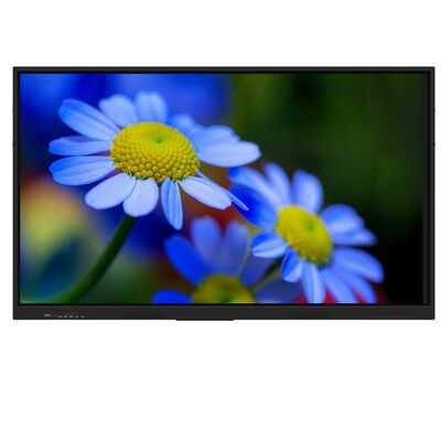 75 inch bán Hot iBoard tương tác màn hình bảng phẳng cho phòng họp lớp học