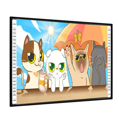 102 Inch Nano Surface Projection Marker Boards USB HDMI PC cho lớp học