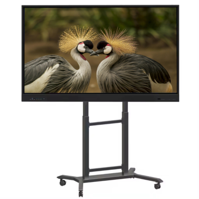 Nhà sản xuất IBoard 65 Inch Interactive Whiteboard Smart Board Interactive Flat Panel Smart Digital Touch Screen Hệ thống kép cho văn phòng giáo dục trường học