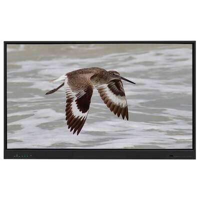 Bảng trắng tương tác Iboard Android 15 EDLA với Bảng 65 inch Dành cho Học trực tuyến